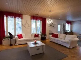 Spacious detached house for a larger group