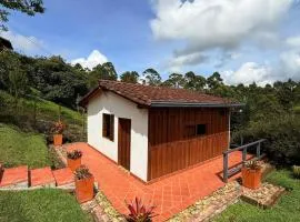 San José de las bromelias
