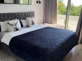 Sch&ouml;ne Aussicht - charmante Ferienwohnung mit Pool und Sauna in Bad Harzburg，巴特哈爾茨堡的附設泳池的飯店