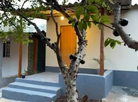 Recanto das Oliveiras