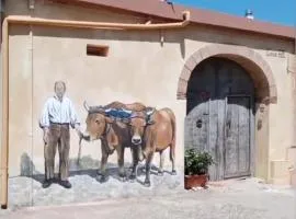 Casa Pili