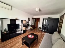 Urban Nest Victoriei close to Antipa Museum