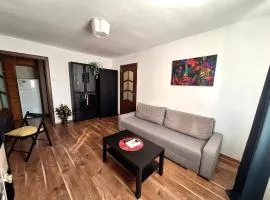 Urban Nest Victoriei close to Antipa Museum