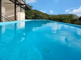 Luxury Villa with rooftop infinity pool and walk away from the beach