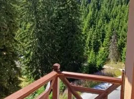 Апартаменти Борови хълмове