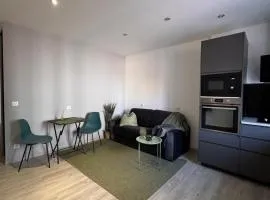 Cozy apartment 15 minutes from Lyon