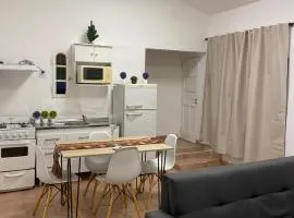 Alfonsina apartment in the center
