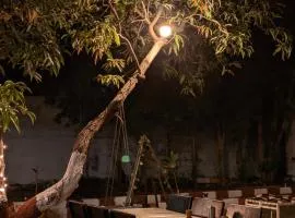 The Gir Village Stay