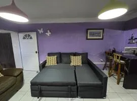 central and private apartment