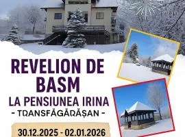 Pension Irina