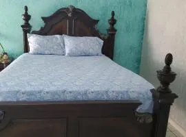 Bayview Luxury Retreat