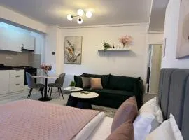 Sofia Residence - Otopeni Airport & Therme I Libertatii Gardens - free pool facilities