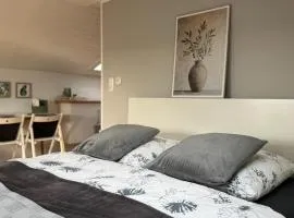 Dachgeschosswohnung in Weiherhammer