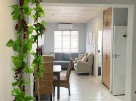 The Protea & Vine - Paarl - Self Catering Apartment