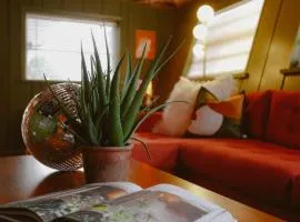 Tropical Disco-Groove Under Palms Where Disco Vibes meet Paradise