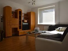Cozy Self Check-in CITY CENTRE apartment