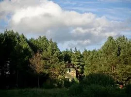 Przytulny dom w sosnowym lesie nad rzeką i jeziorem