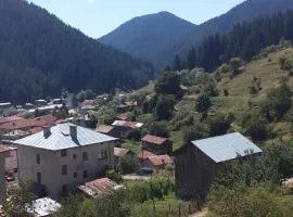 Guest House Jani