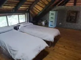 Daisy Lodge