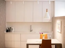 Luxury Properties Tirana - rruga Elbasanit