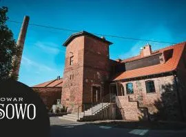 Folwark Wąsowo