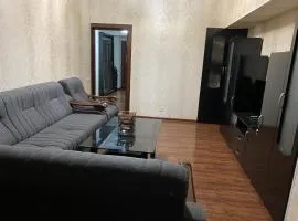 Двухкомнатная квартира в центре города