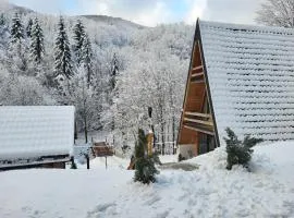 Cabana Aframe Blidari