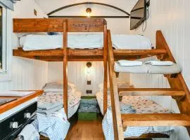 Stag Shepherds Hut