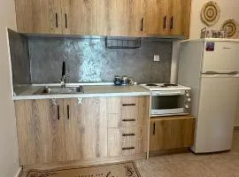 DownTown Apartment Konitsa
