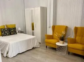 Estudio Céntrico Santa Cruz