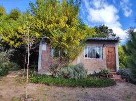 Hermoso Refugio del Bosque