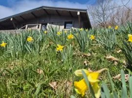 Chalet rénové avec sauna, proche Gérardmer - FR-1-589-796