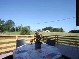 Gîte confortable en montagne avec terrasse, idéal pour rando et cure, proche de Plombières-les-Bains - FR-1-589-172