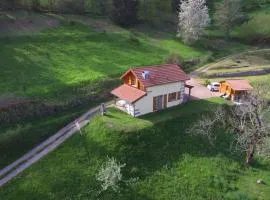 Maison montagnarde rénovée avec cheminée et randonnées - FR-1-589-281