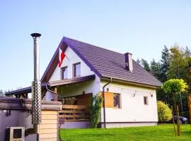 Domek z kominkiem nad jeziorem z jacuzzi ogrodowym