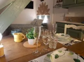 L'ALBIZIA à 20m de la plage 3ème etage, rénové, 2 personnes et animaux - wifi