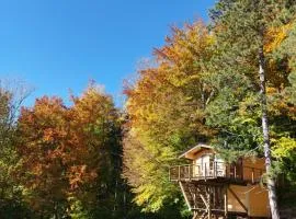 Treetop Tiny House Pod Korunami