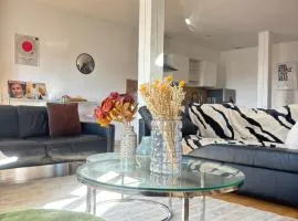 Suite Aubenas centre - château