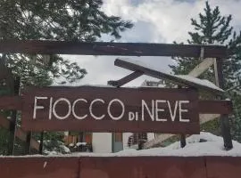 Fiocco di Neve