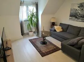 Attraktives Apartment in Nürnberg-Eibach
