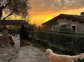 Casetta nel Podere di Massi