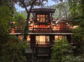 Kalamunda - A Home in the Forest