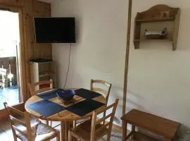 Charmant appartement avec WiFi à Samoëns - FR-1-846-20