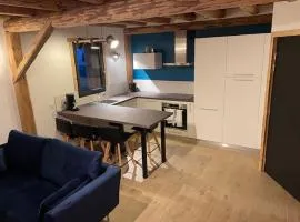 Appartement cosy à Samoëns avec Wifi, pour 4 personnes - FR-1-846-39