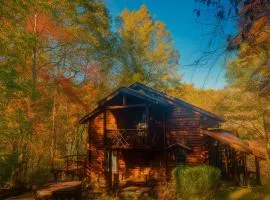 Crabapple-Secluded cabin with pond creek access, hot tube, fire pit in Blue Ridge