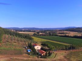 Agriturismo Podere Mulinaccio, hotel que acepta mascotas en Ribolla