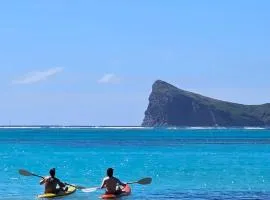 Play - Swim - Dive - Relax - Seaside Recharge