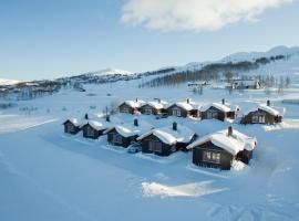 Rauland Feriesenter, hotel v destinaci Rauland