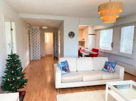 Northern Lights Stay Apartment