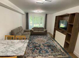 Luxury 2 bed flat in Guildford, hotel in Stoughton